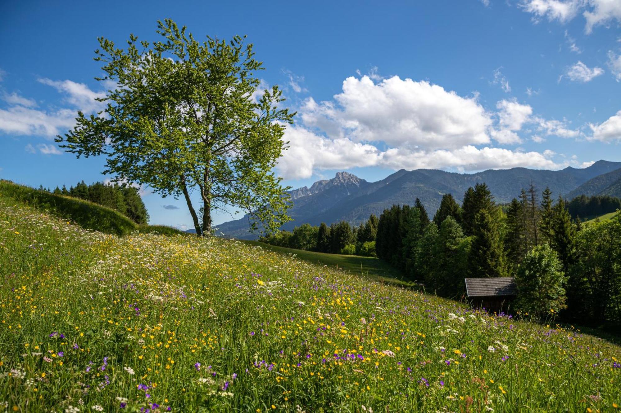 Hotel Krone Tirol Reutte Exteriör bild